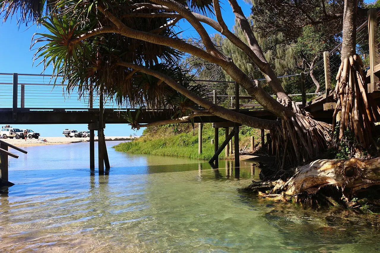 Eli Creek reaching Seventy-Five Mile Beach