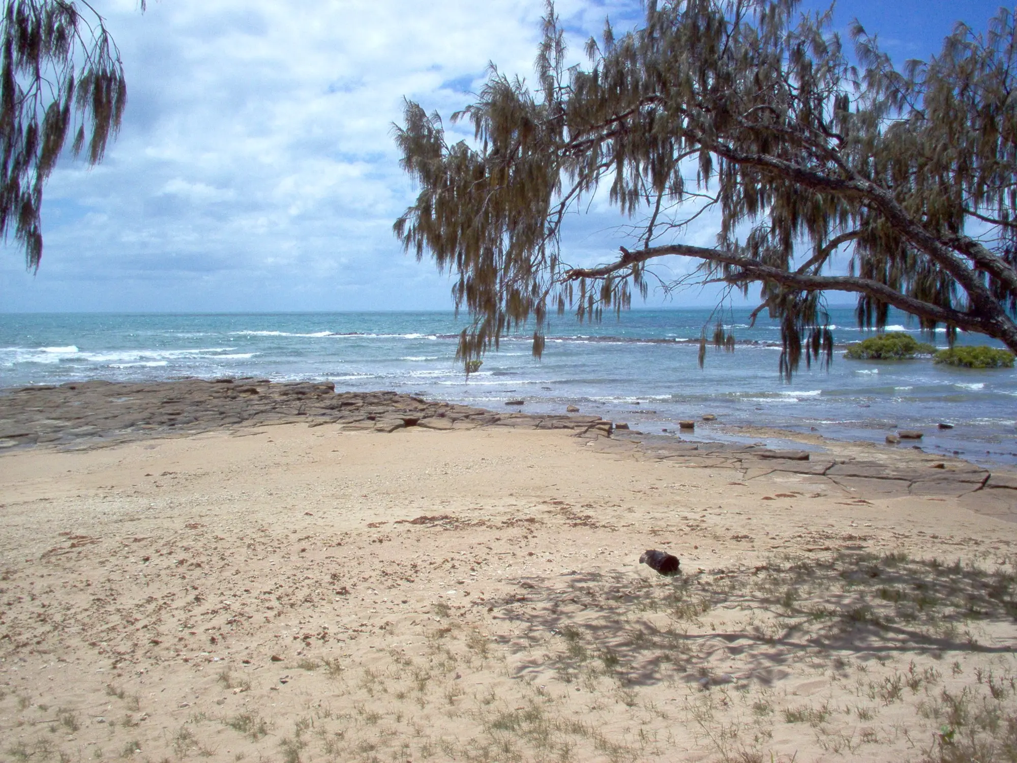 Beach and tidal foreshore at Point Vernon